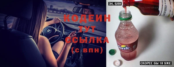 apvp Краснослободск
