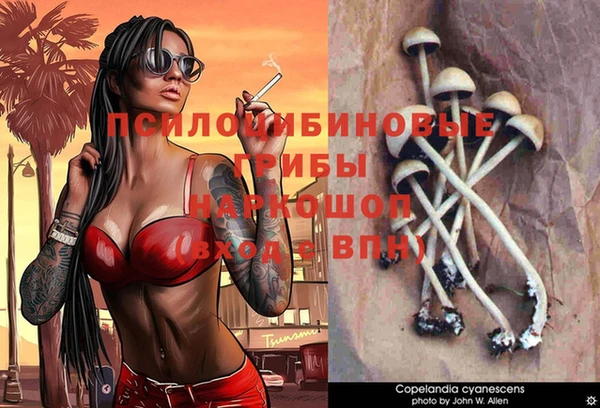 apvp Краснослободск
